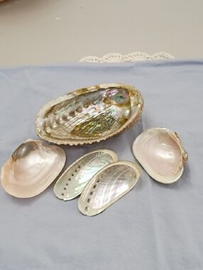 Iridescent Abalone and Seashell Accent Set - Pink and Pearl Tones